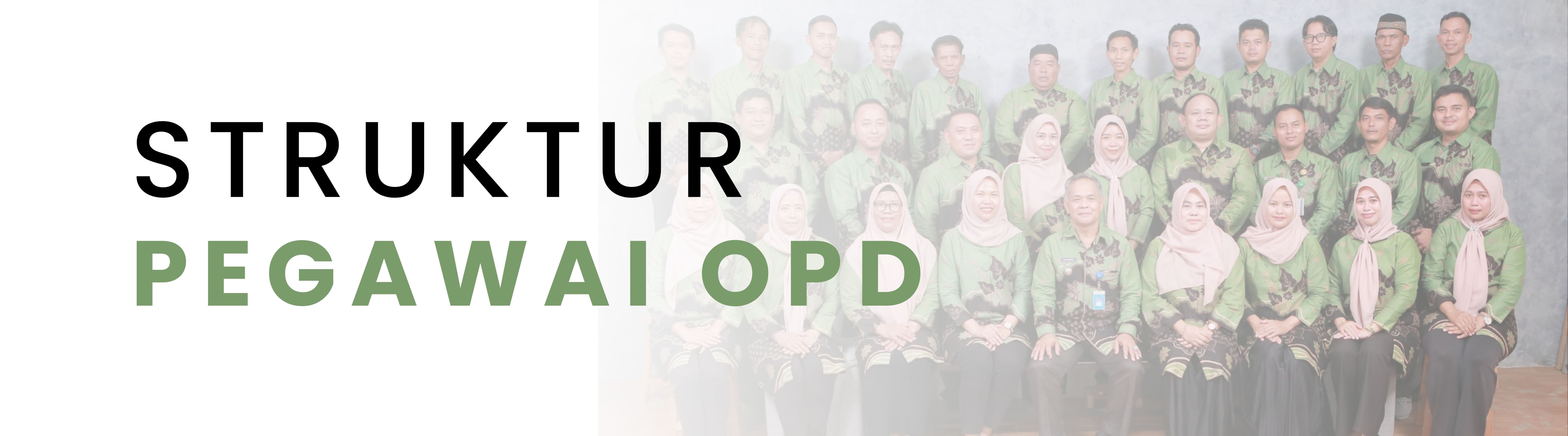 Struktur Pegawai OPD